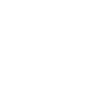 Icone instagram