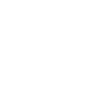Icone linkedin